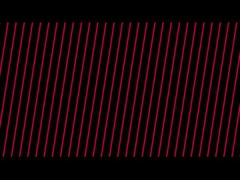 Adesivo para tecidos / Adesivo para geleia / Adesivo para gelatina industrial