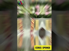 Ceres viscovita esponja